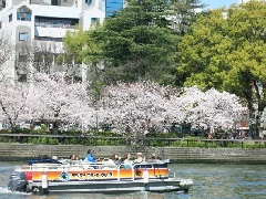 写真１