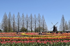 写真１