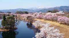 写真１