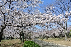 写真１