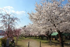 写真１