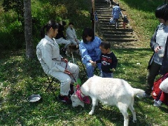 写真１