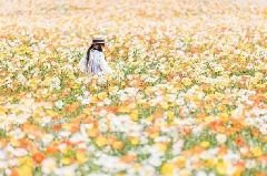 写真１