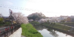 写真１
