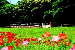 写真１