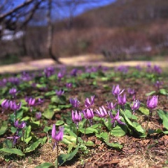 写真１