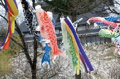 写真１