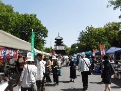 写真１