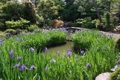 写真１