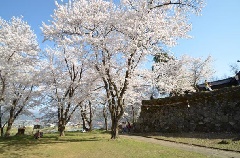 写真１