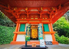 写真１