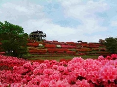写真１