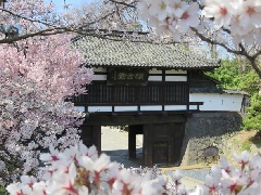 写真１