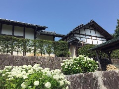 写真１