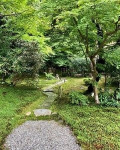 写真１