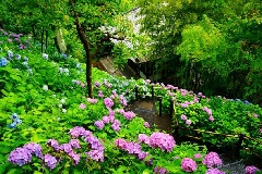 写真１