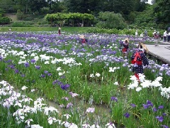 写真１