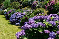 写真１