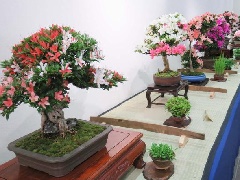 写真１