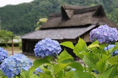 写真１