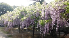 写真１