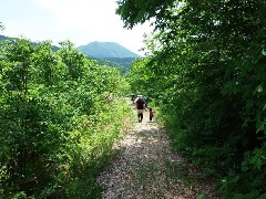 写真１