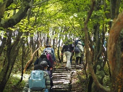 写真１
