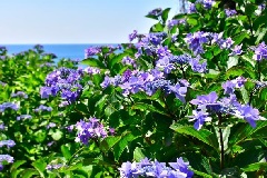 写真１