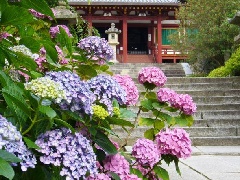 写真１