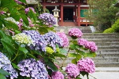 イベント画像