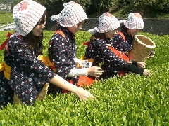 写真１