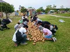 写真１