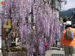 写真１