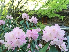 写真１