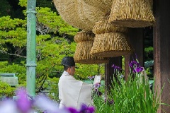 イベント画像