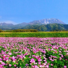 写真１