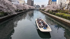 写真１