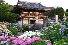 イベント画像