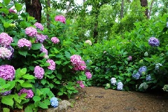 写真１