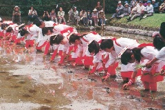 イベント画像