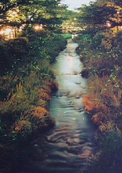 写真１