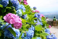写真１