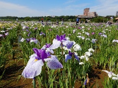 写真１
