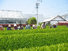 写真１