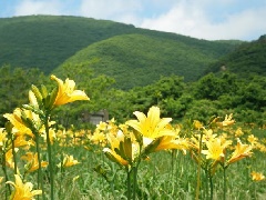 写真１