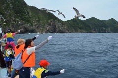 写真１