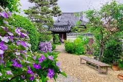 イベント画像