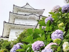 写真１