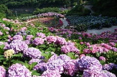 写真１
