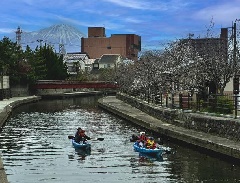 写真１